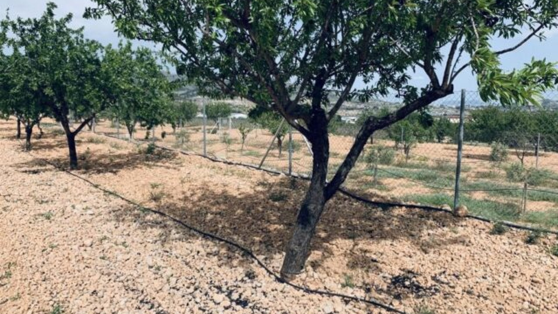 Sale - Plot Land -
La Romana