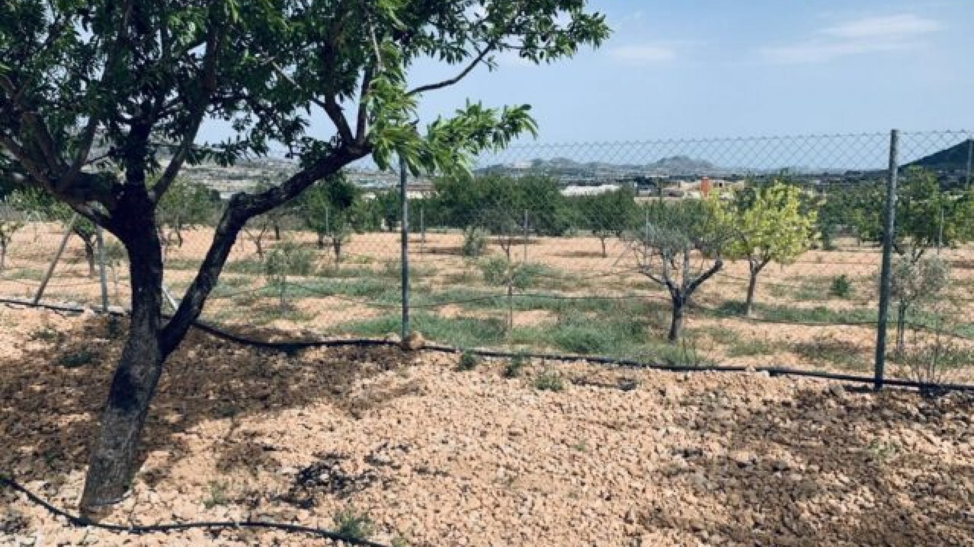 Sale - Plot Land -
La Romana