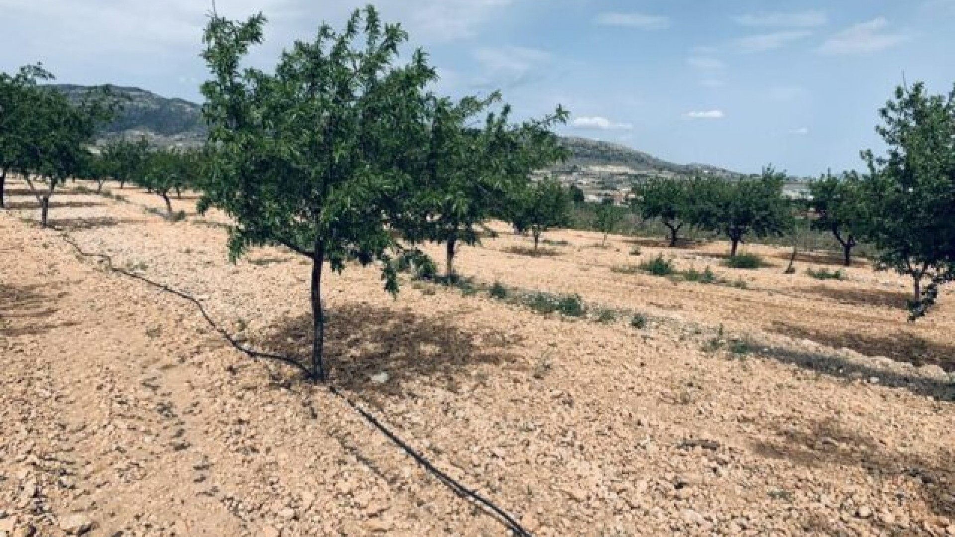 Sale - Plot Land -
La Romana