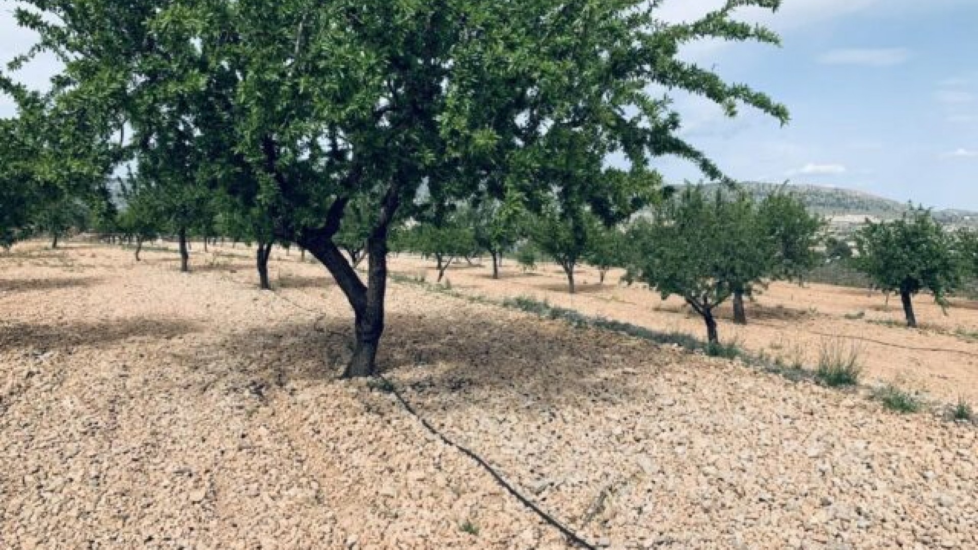 Sale - Plot Land -
La Romana