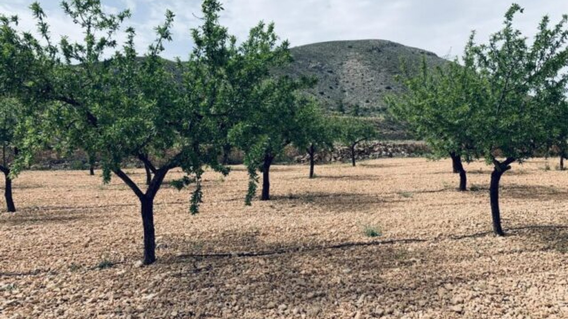 Sale - Plot Land -
La Romana