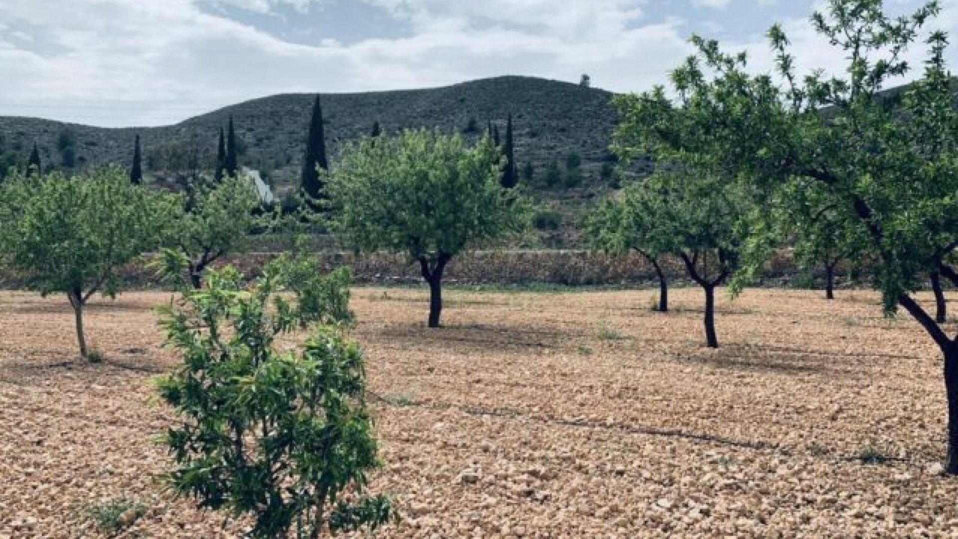 Sale - Plot Land -
La Romana