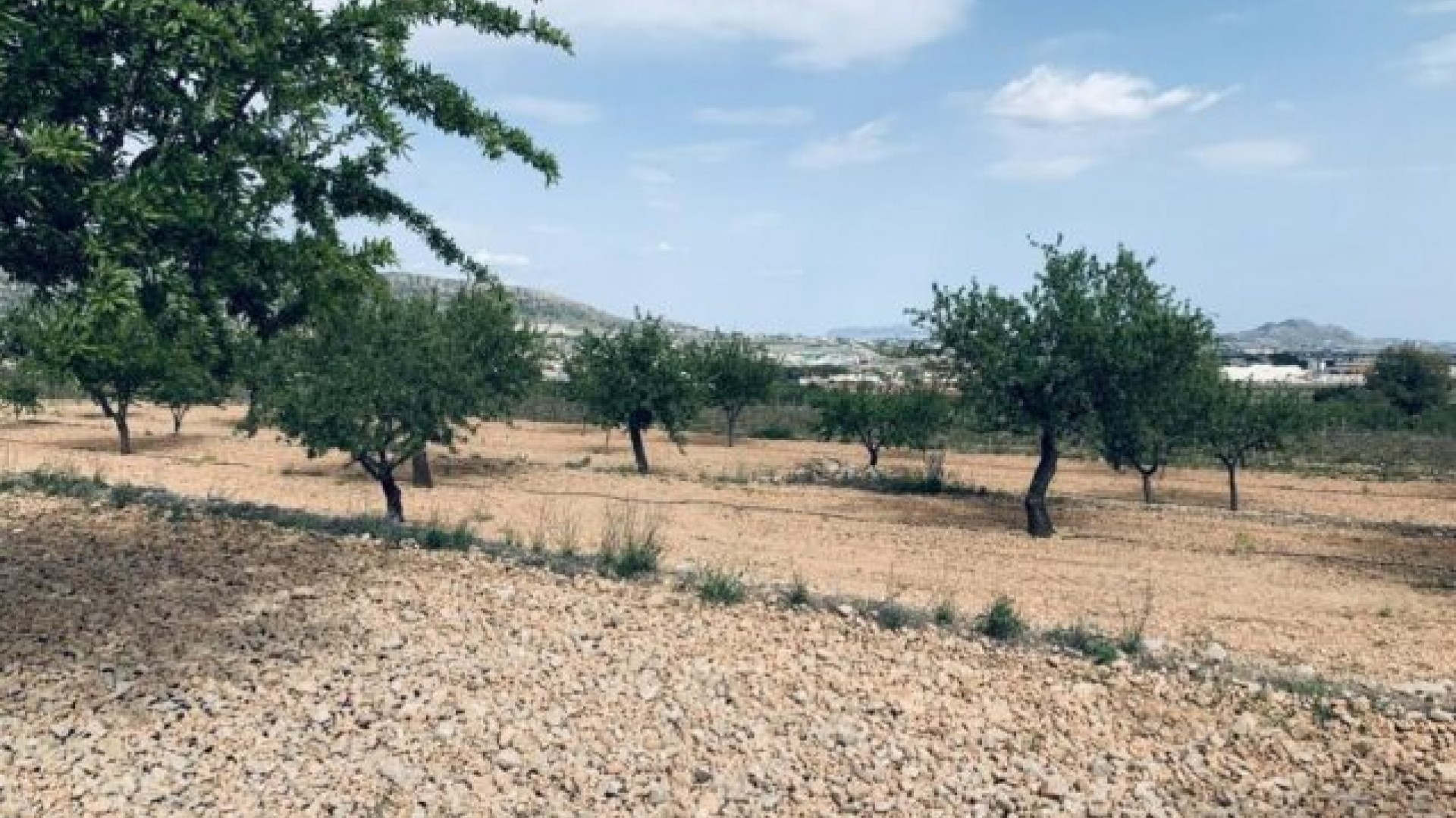 Sale - Plot Land -
La Romana