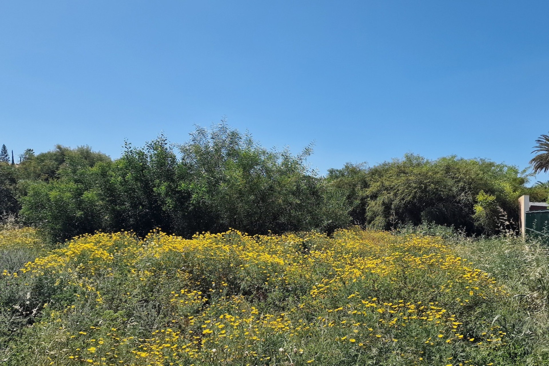 Sale - Plot Land -
Los Balcones - Los Altos del Edén - Los Balcones