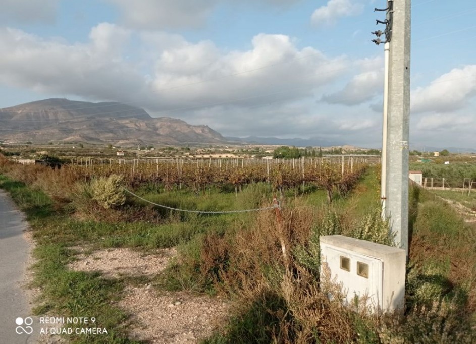 Sale - Plot Land -
Monforte del Cid