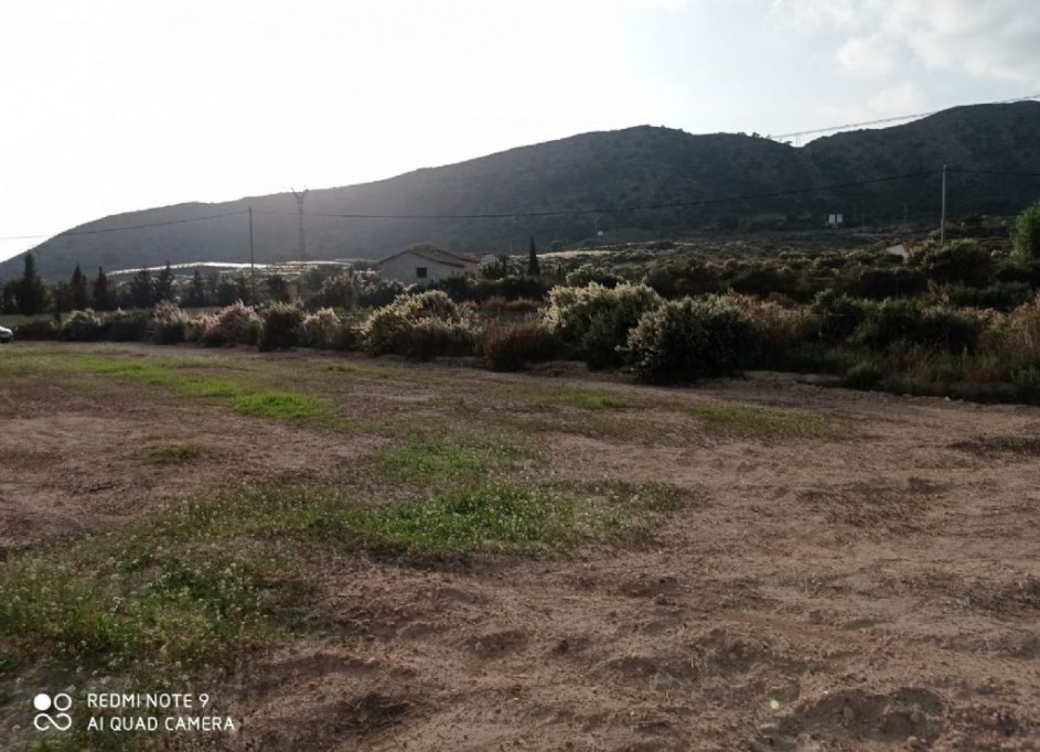 Sale - Plot Land -
Monforte del Cid