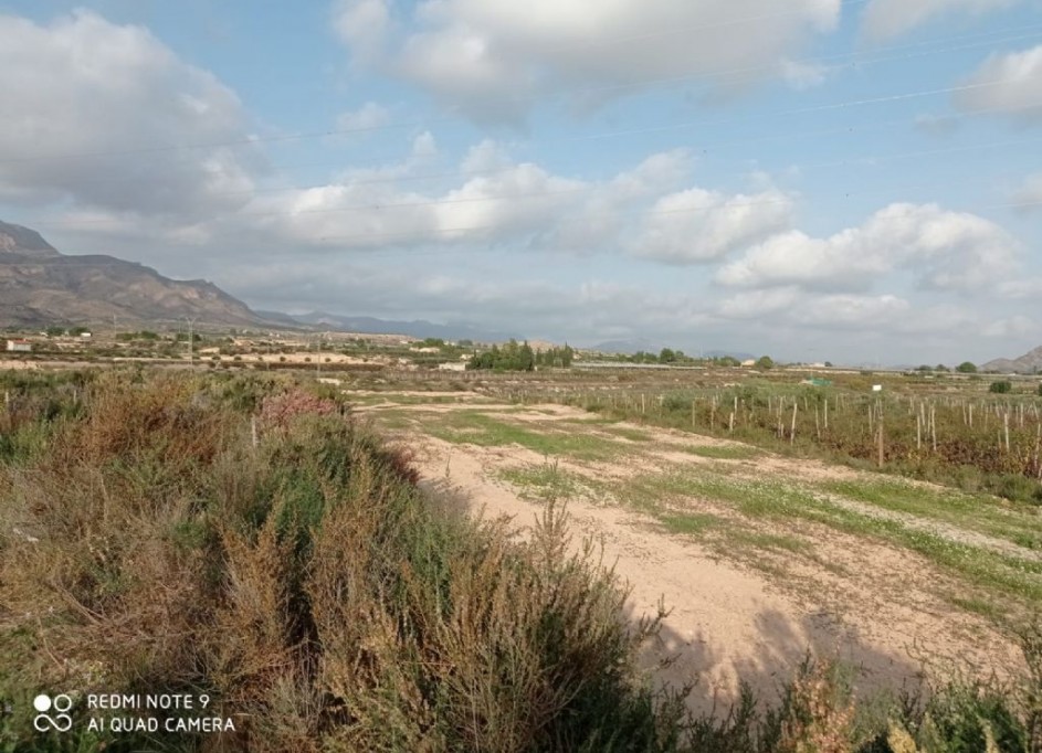Sale - Plot Land -
Monforte del Cid