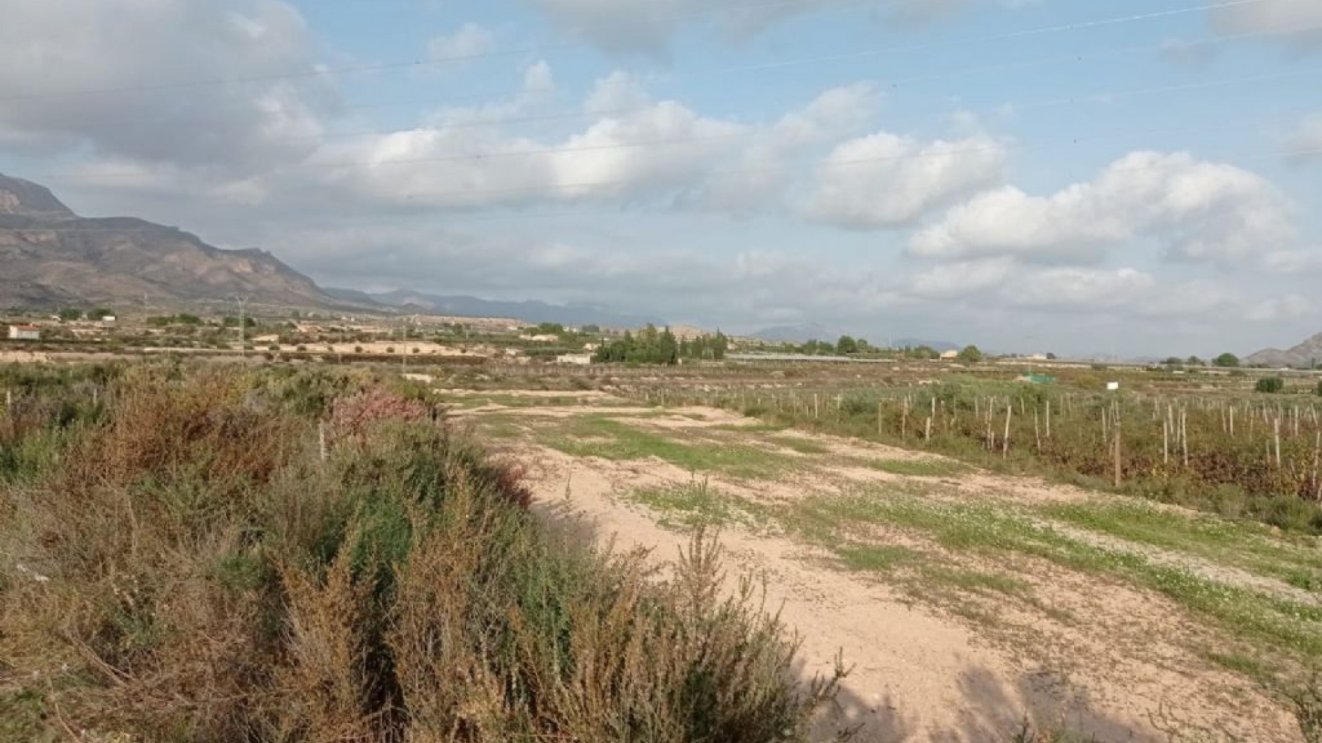 Sale - Plot Land -
Monforte del Cid
