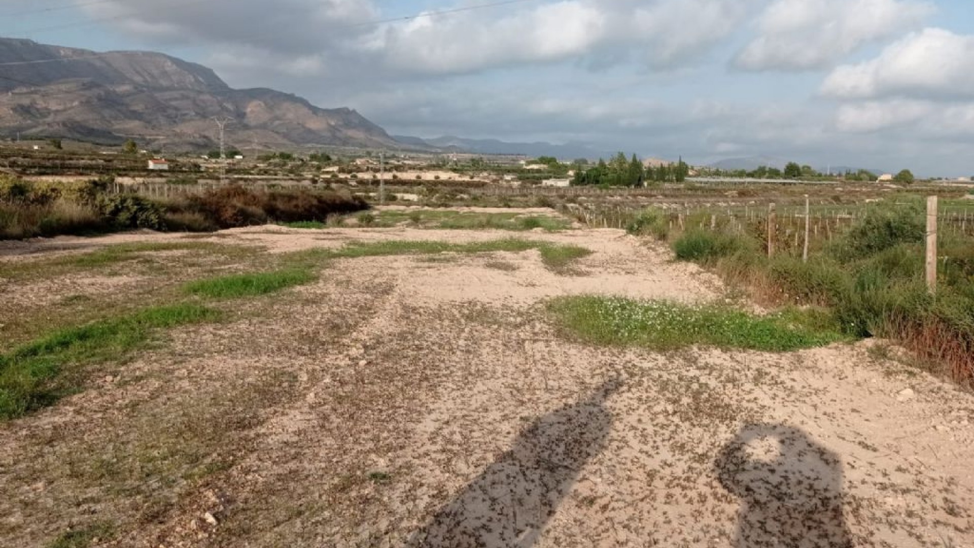 Sale - Plot Land -
Monforte del Cid