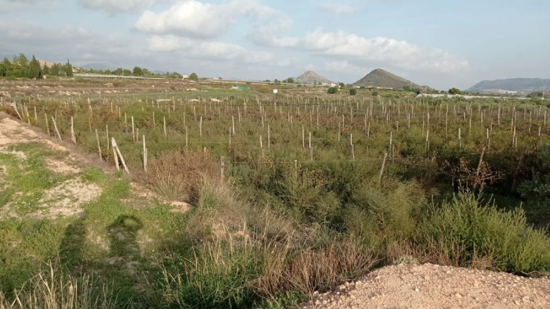 Sale - Plot Land -
Monforte del Cid