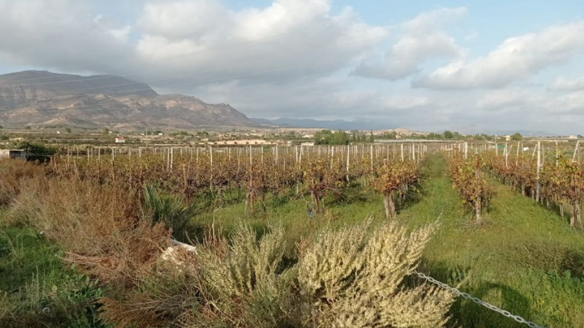 Sale - Plot Land -
Monforte del Cid