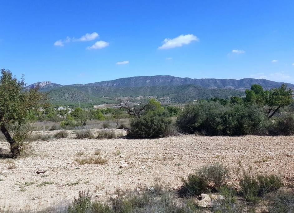 Sale - Plot Land -
Monóvar