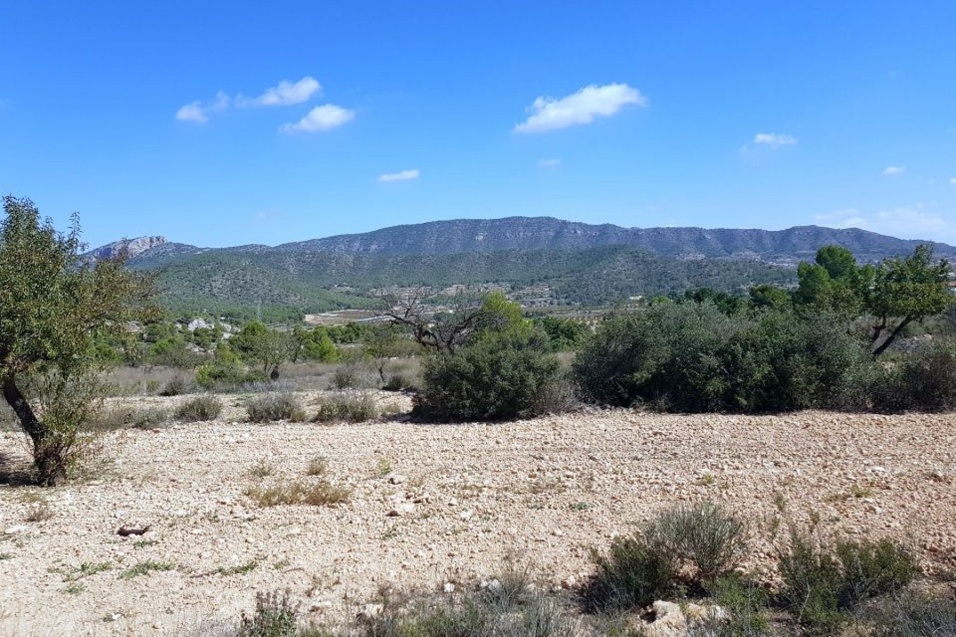 Sale - Plot Land -
Monóvar