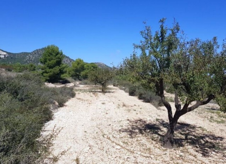 Sale - Plot Land -
Monóvar