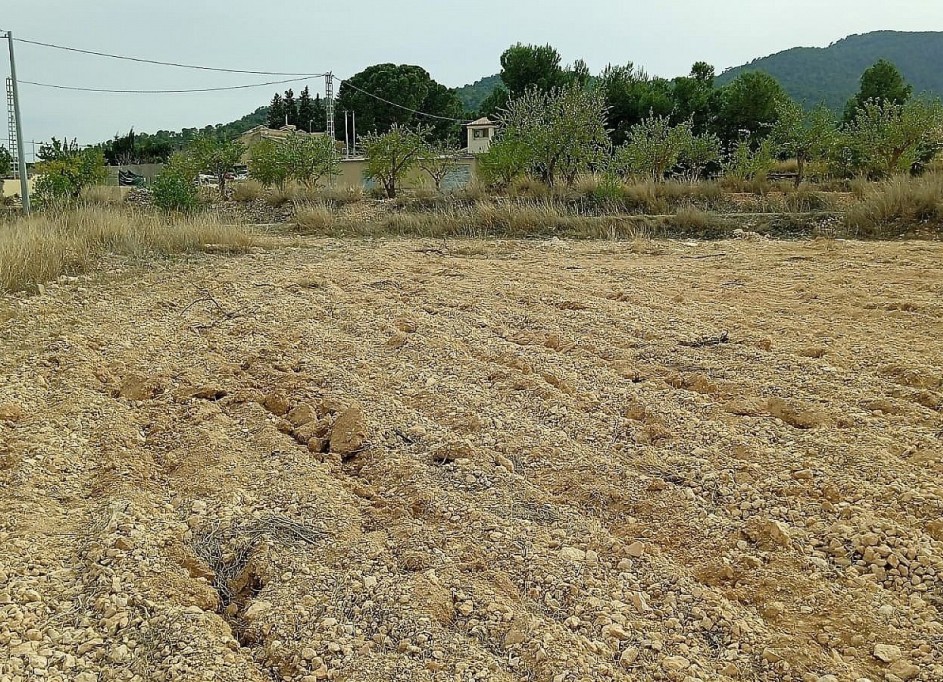 Sale - Plot Land -
Monóvar