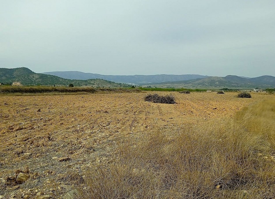 Sale - Plot Land -
Monóvar