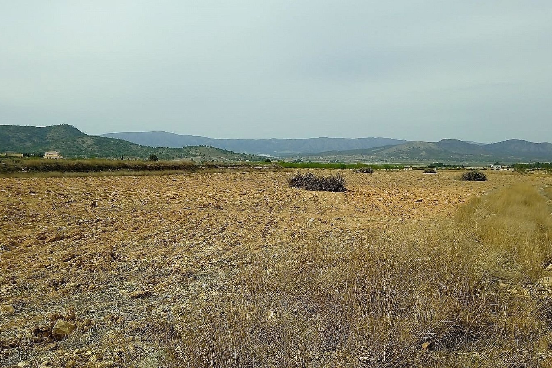 Sale - Plot Land -
Monóvar