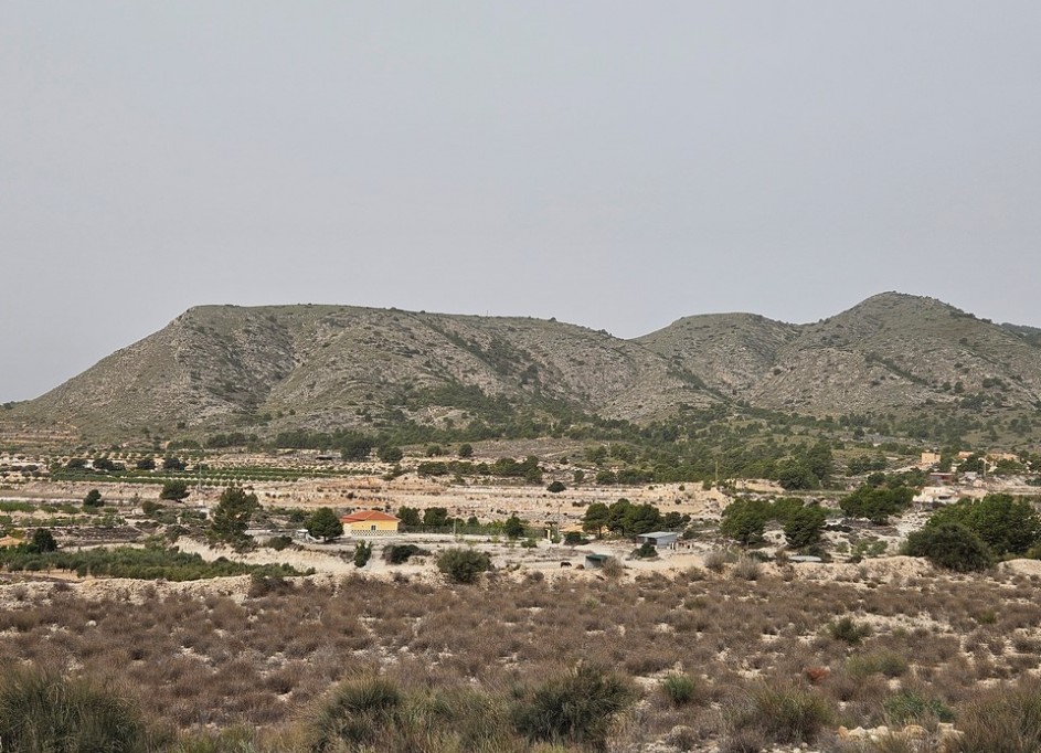 Sale - Plot Land -
Novelda