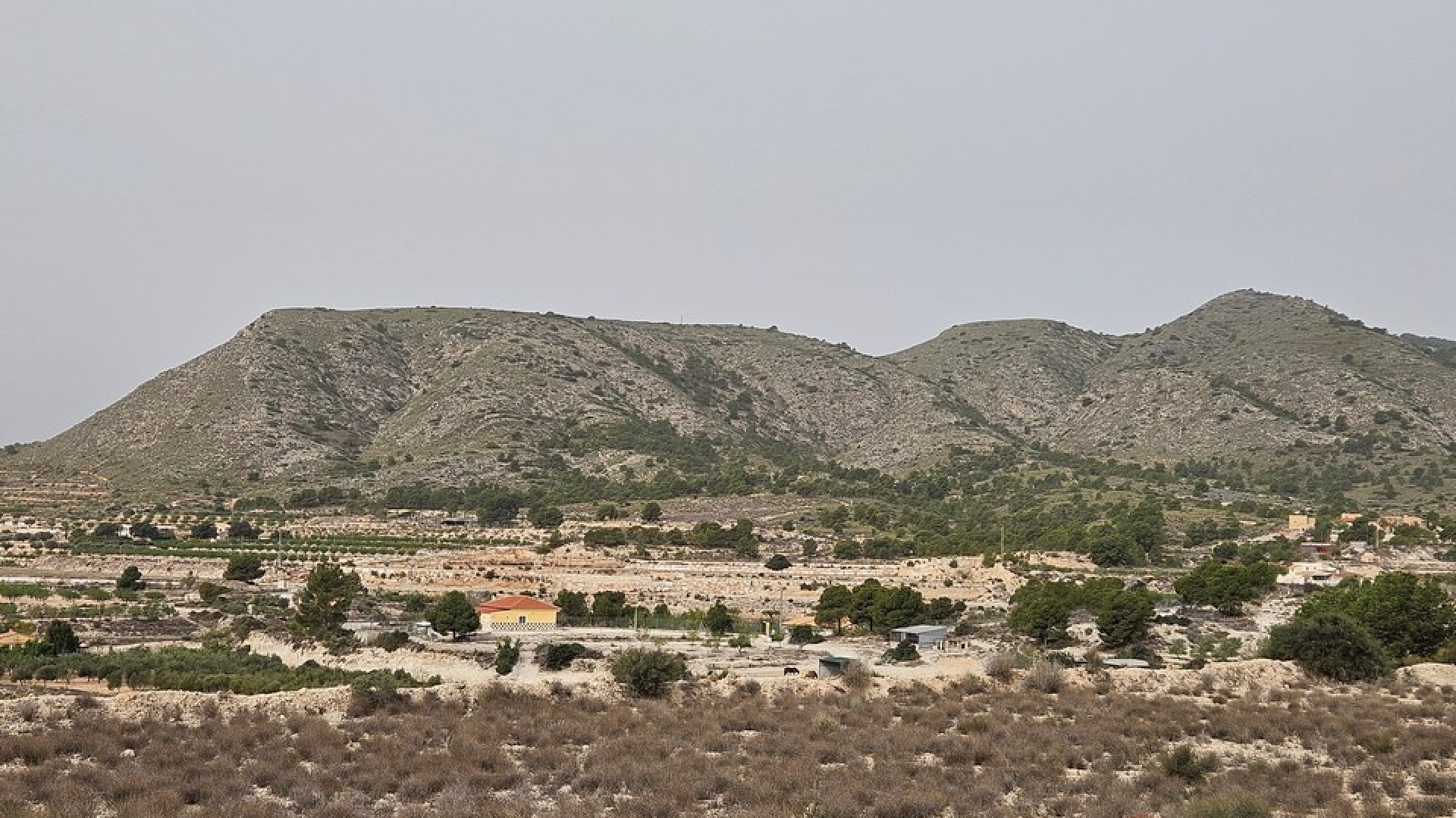 Sale - Plot Land -
Novelda