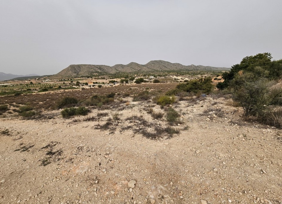 Sale - Plot Land -
Novelda