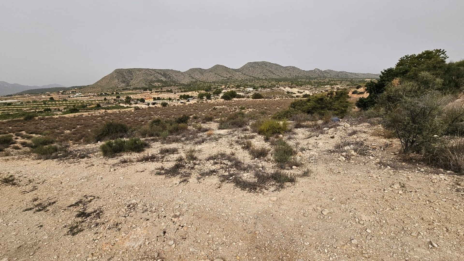 Sale - Plot Land -
Novelda