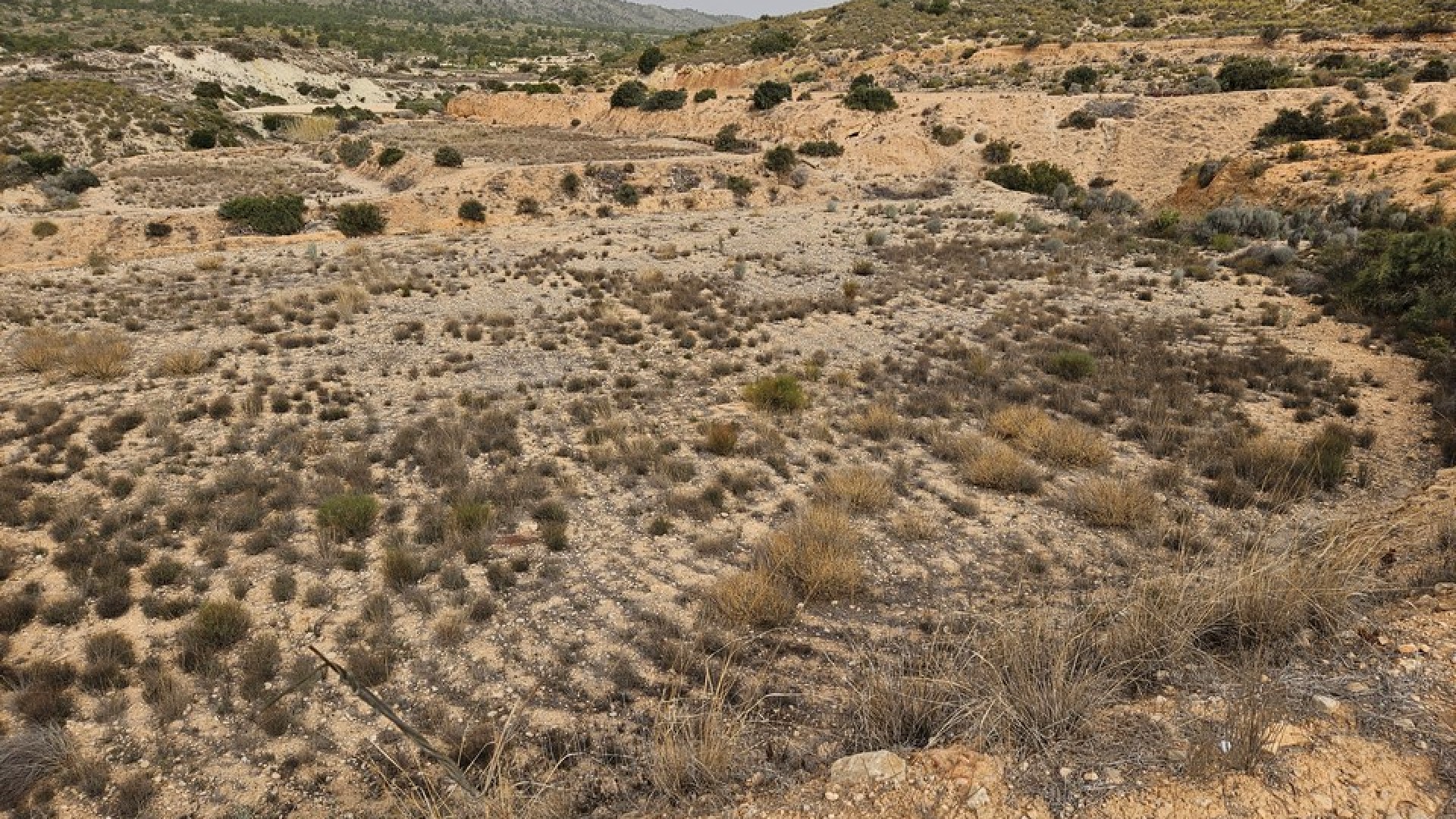 Sale - Plot Land -
Novelda