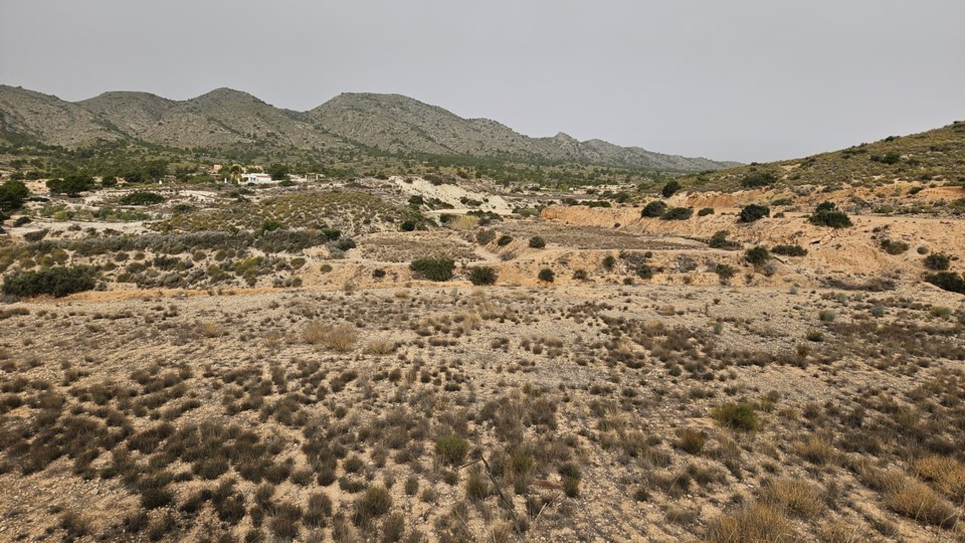 Sale - Plot Land -
Novelda