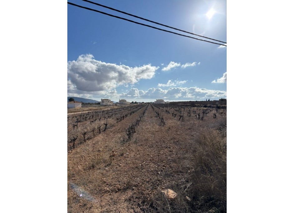 Sale - Plot Land -
Pinoso - el Pinós / Pinoso