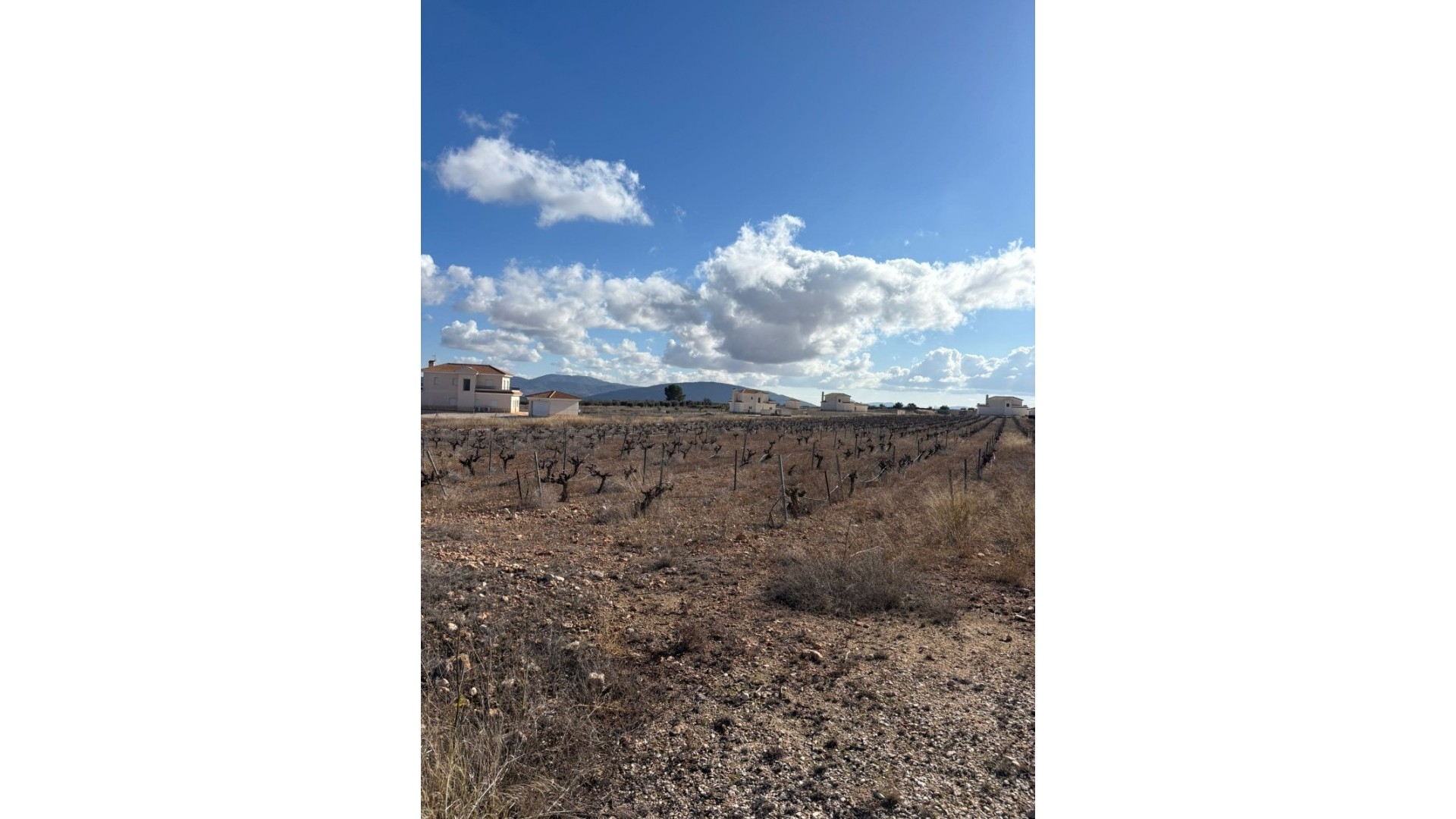 Sale - Plot Land -
Pinoso - el Pinós / Pinoso