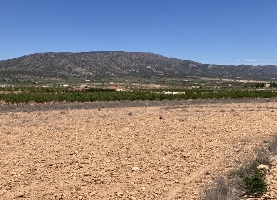 Sale - Plot Land -
Pinoso - Lel