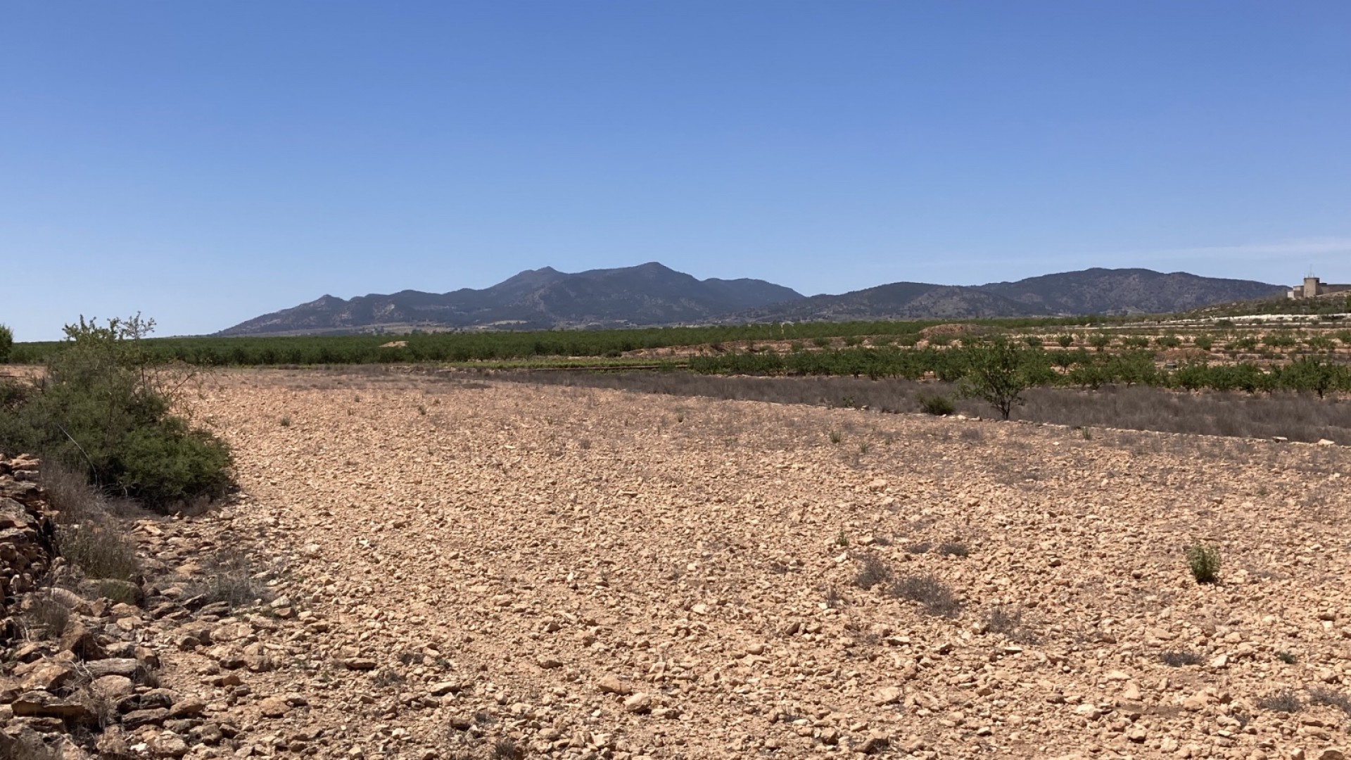 Sale - Plot Land -
Pinoso - Lel