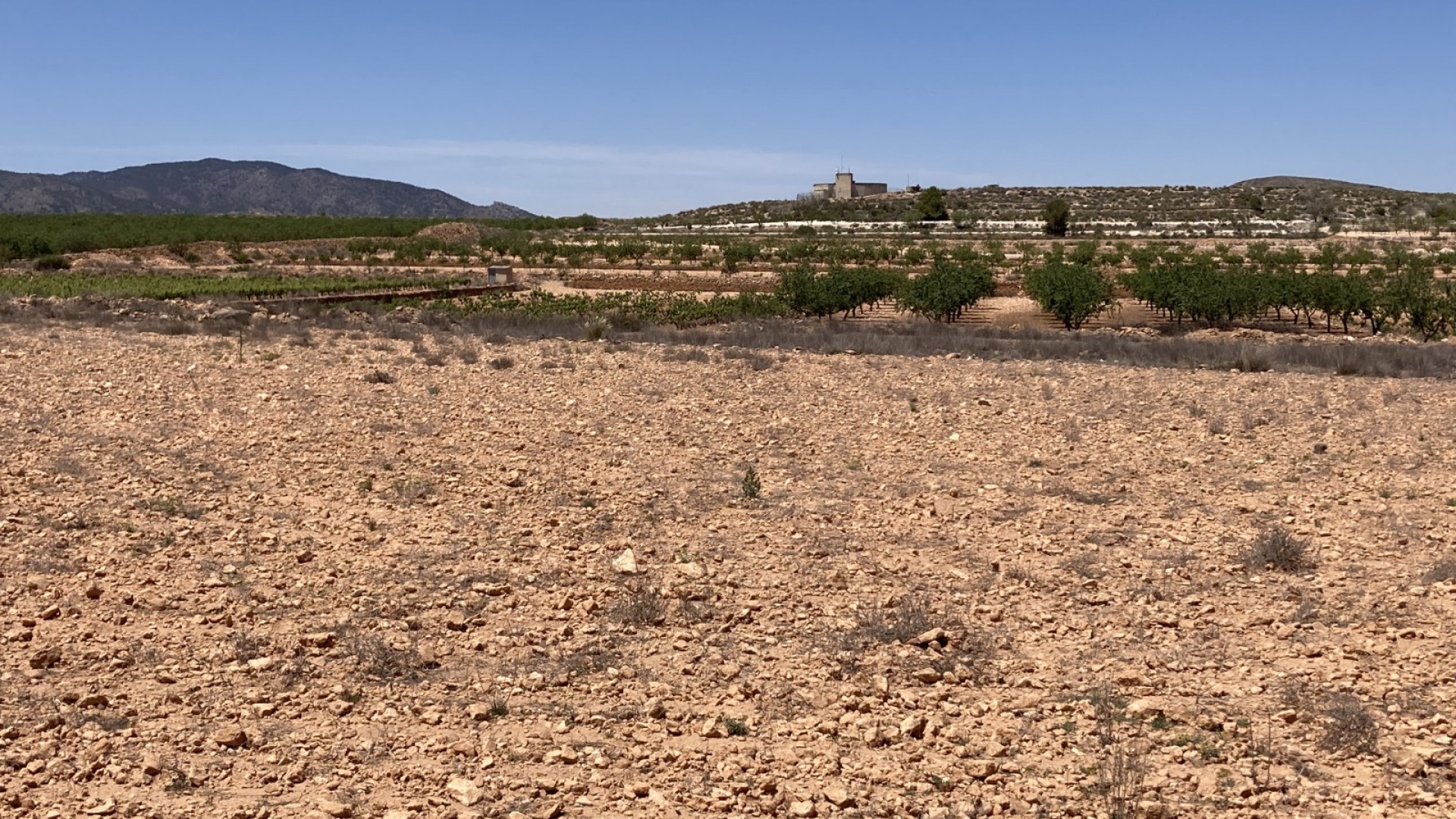 Sale - Plot Land -
Pinoso - Lel