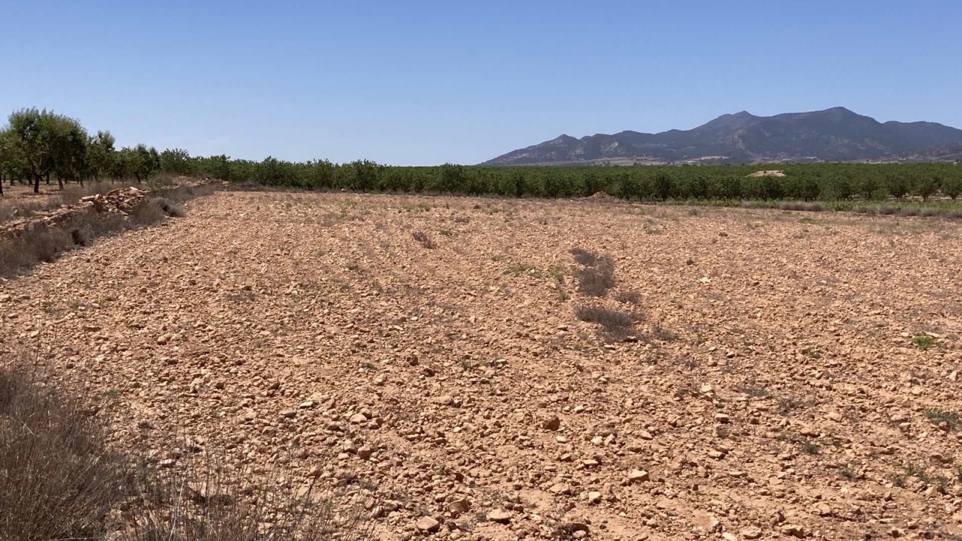 Sale - Plot Land -
Pinoso - Lel