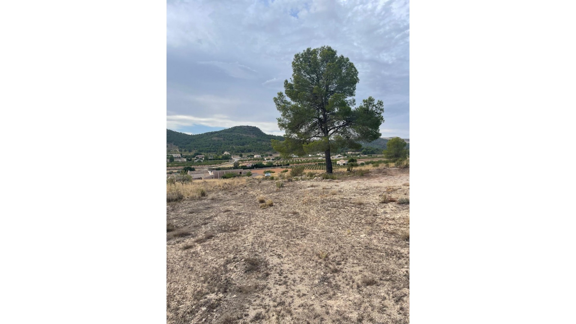 Sale - Plot Land -
Pinoso - Pinoso Alicante