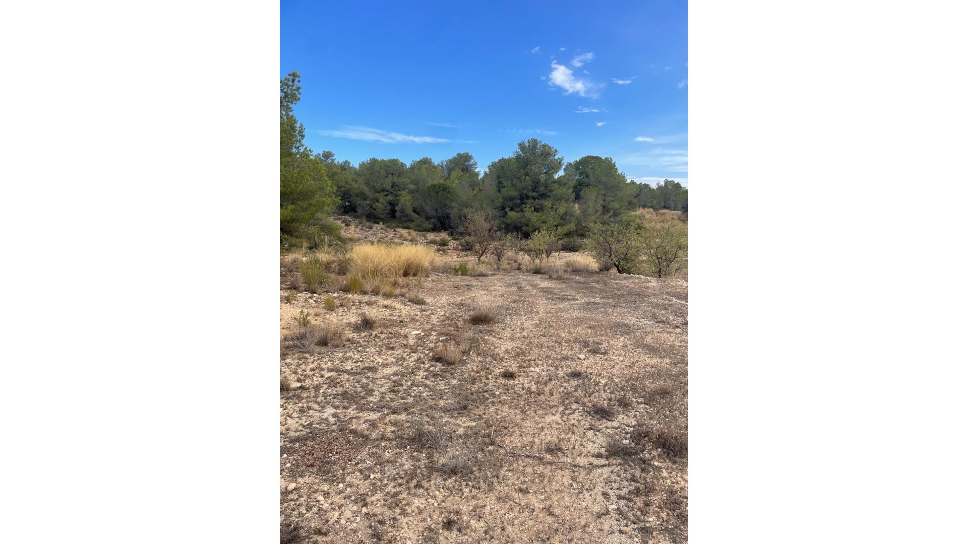 Sale - Plot Land -
Pinoso - Pinoso Alicante