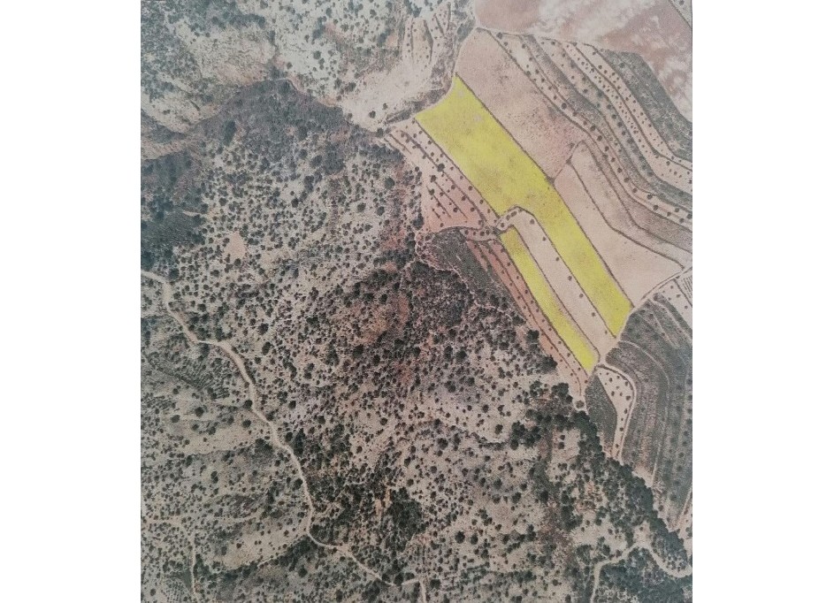 Sale - Plot Land -
Pinoso