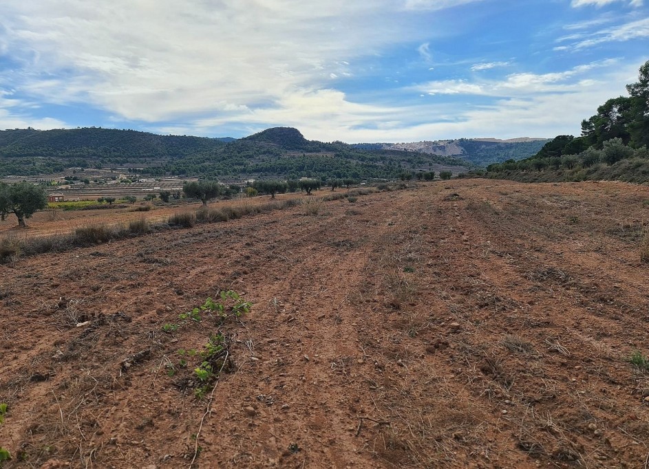 Sale - Plot Land -
Pinoso