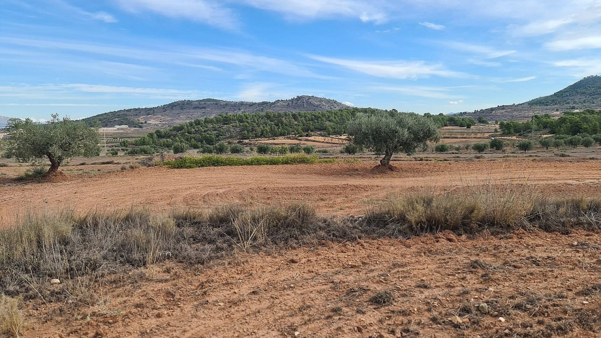 Sale - Plot Land -
Pinoso