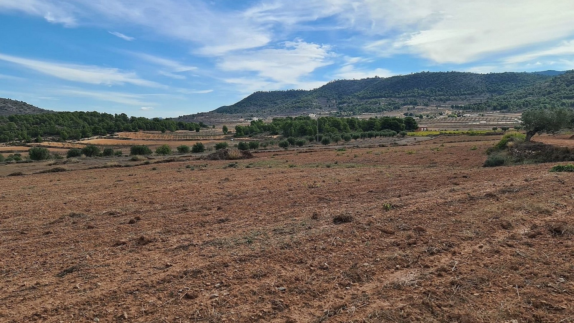 Sale - Plot Land -
Pinoso