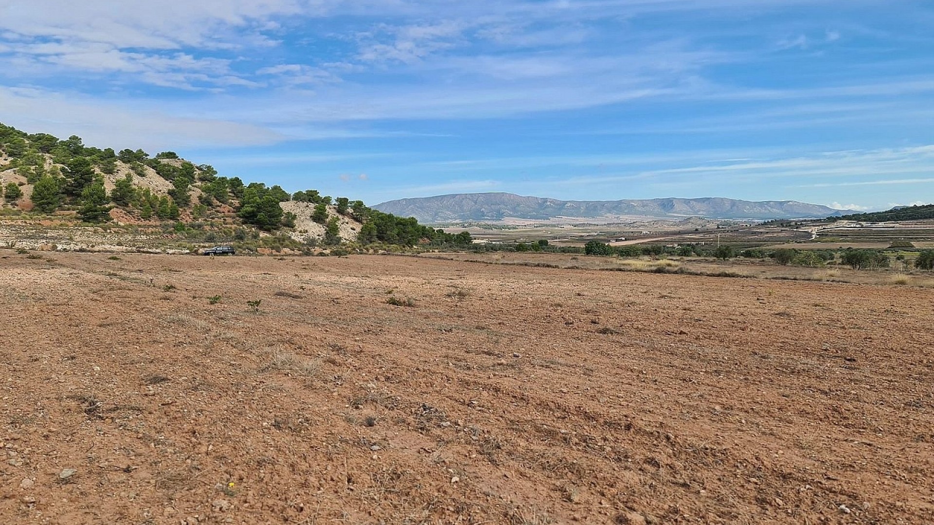 Sale - Plot Land -
Pinoso