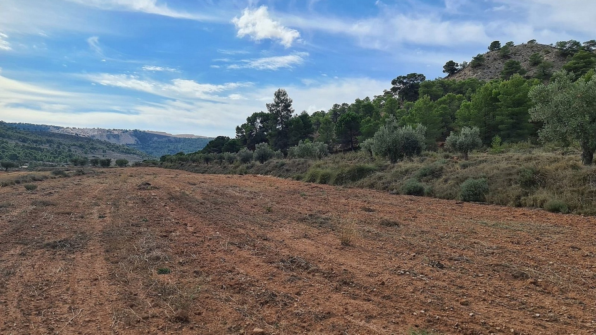 Sale - Plot Land -
Pinoso
