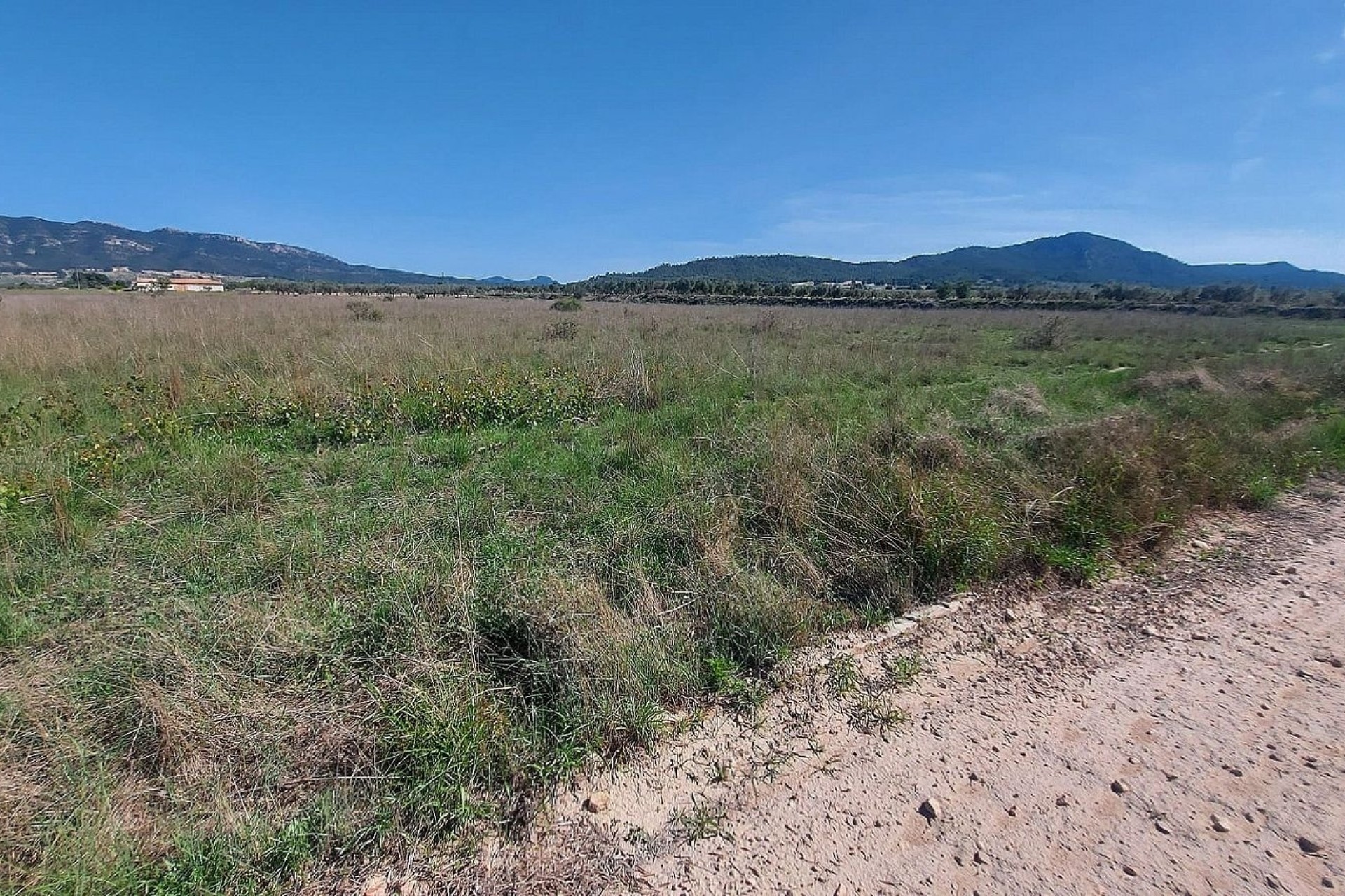 Sale - Plot Land -
Salinas