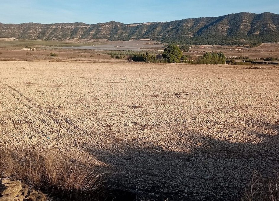 Sale - Plot Land -
Salinas