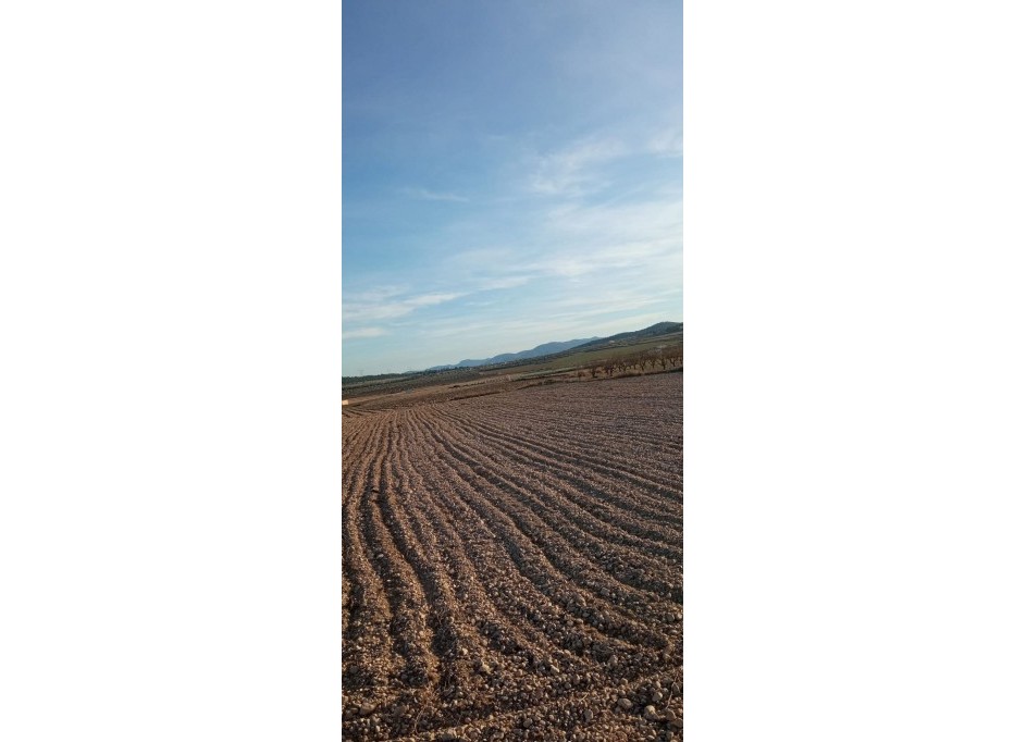 Sale - Plot Land -
Salinas
