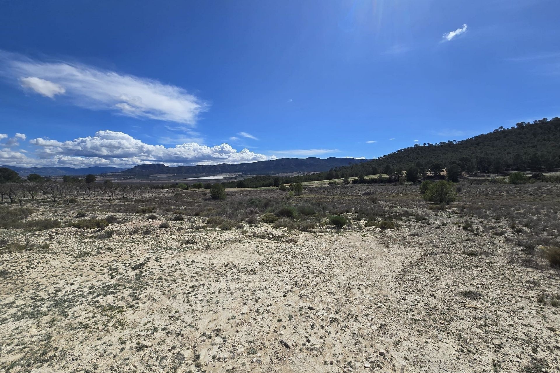 Sale - Plot Land -
Salinas