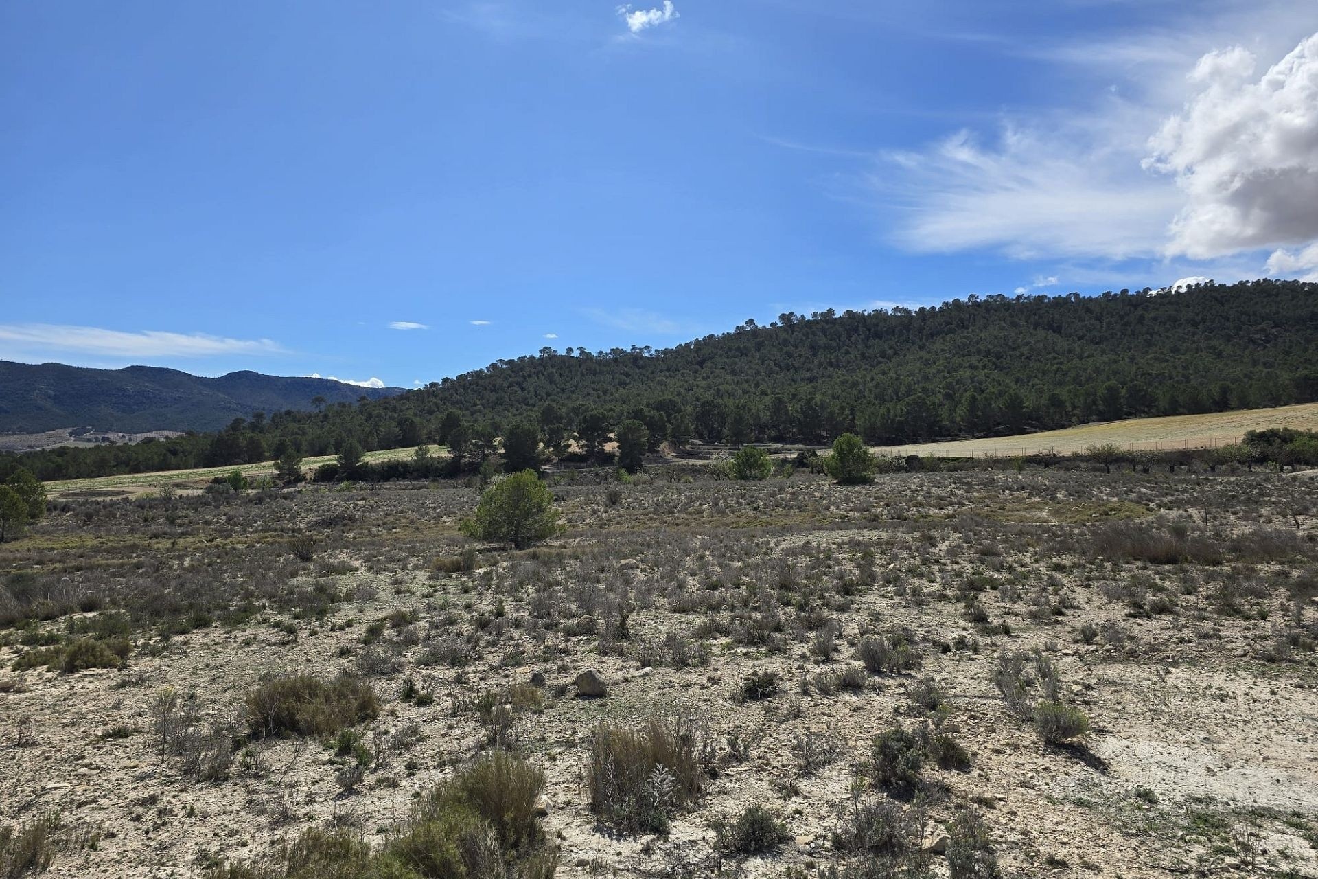 Sale - Plot Land -
Salinas