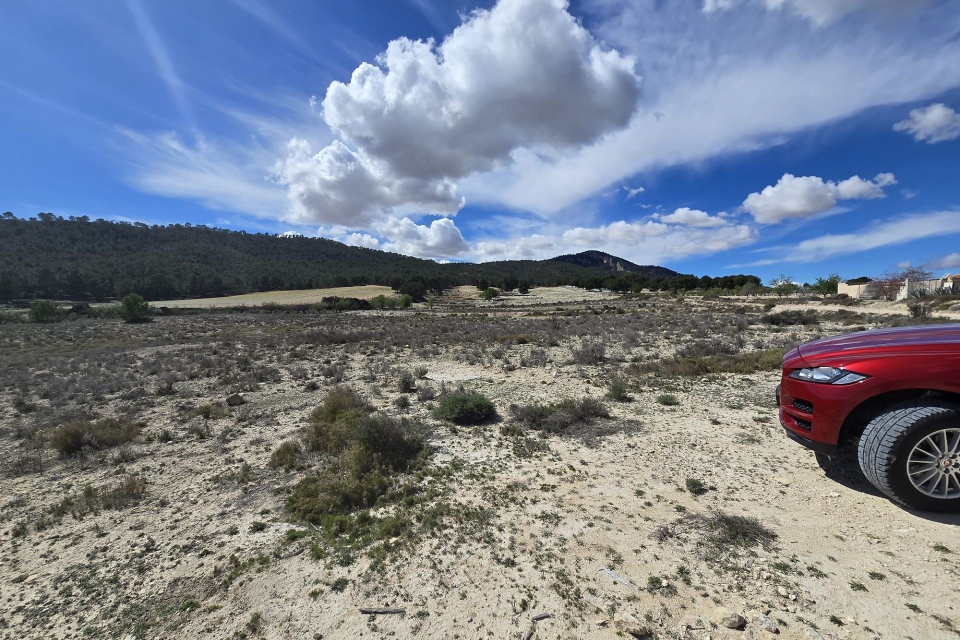 Sale - Plot Land -
Salinas