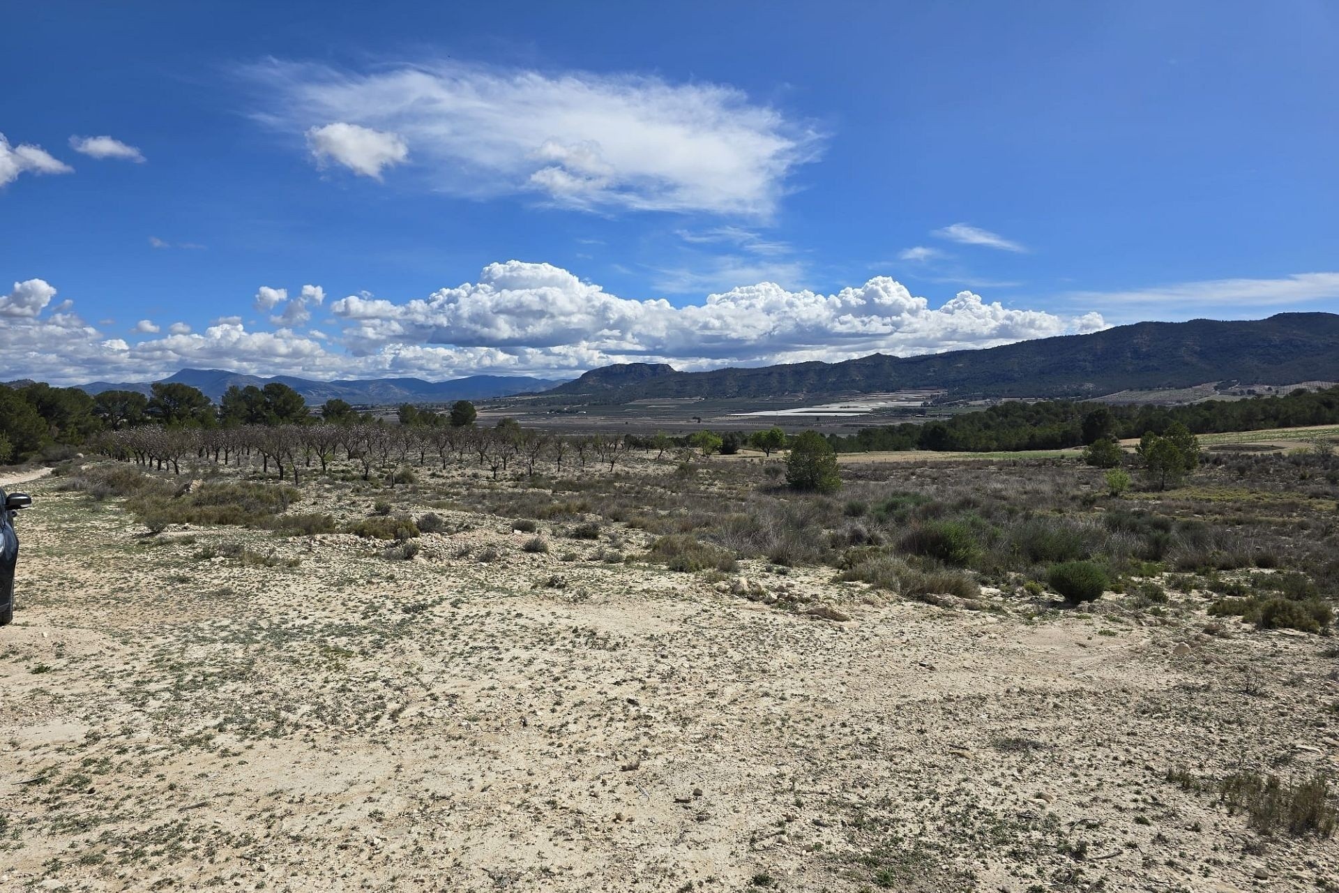 Sale - Plot Land -
Salinas