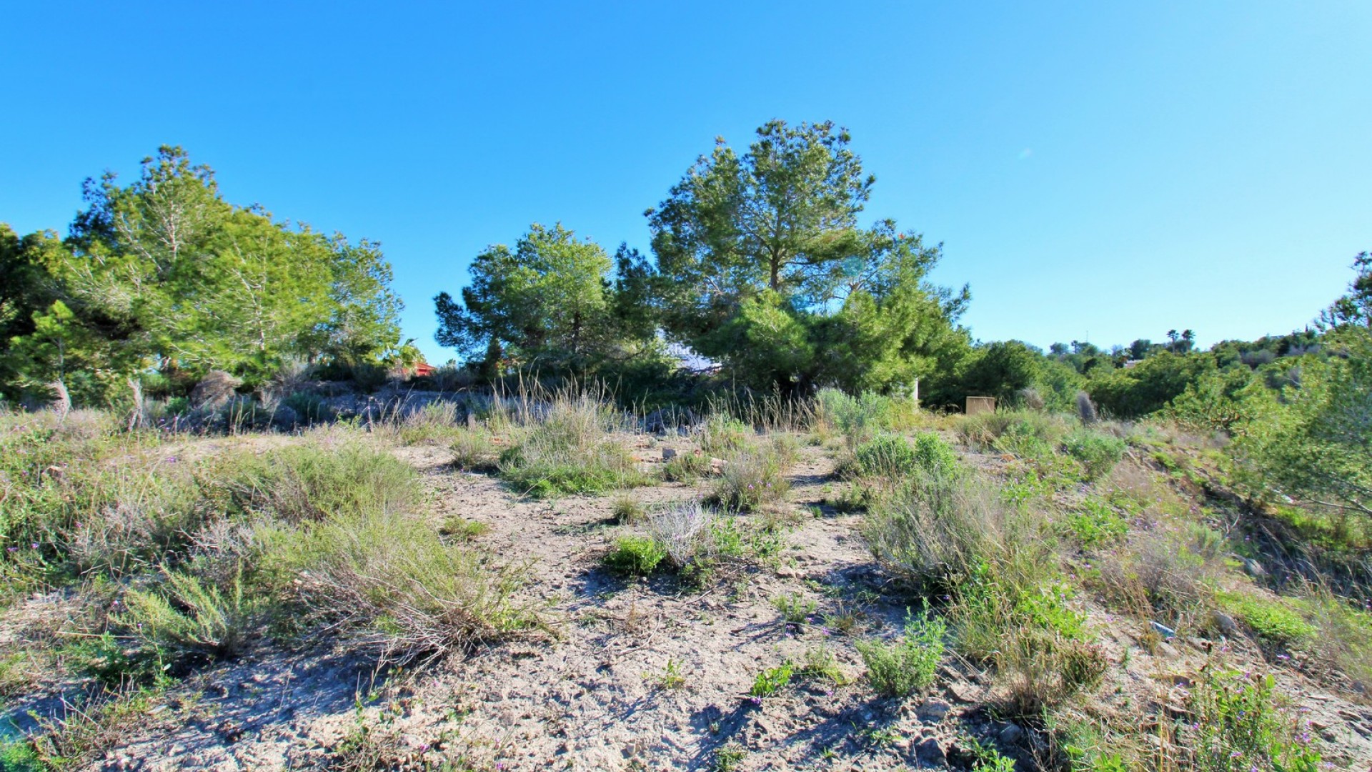 Sale - Plot Land -
San Miguel de Salinas