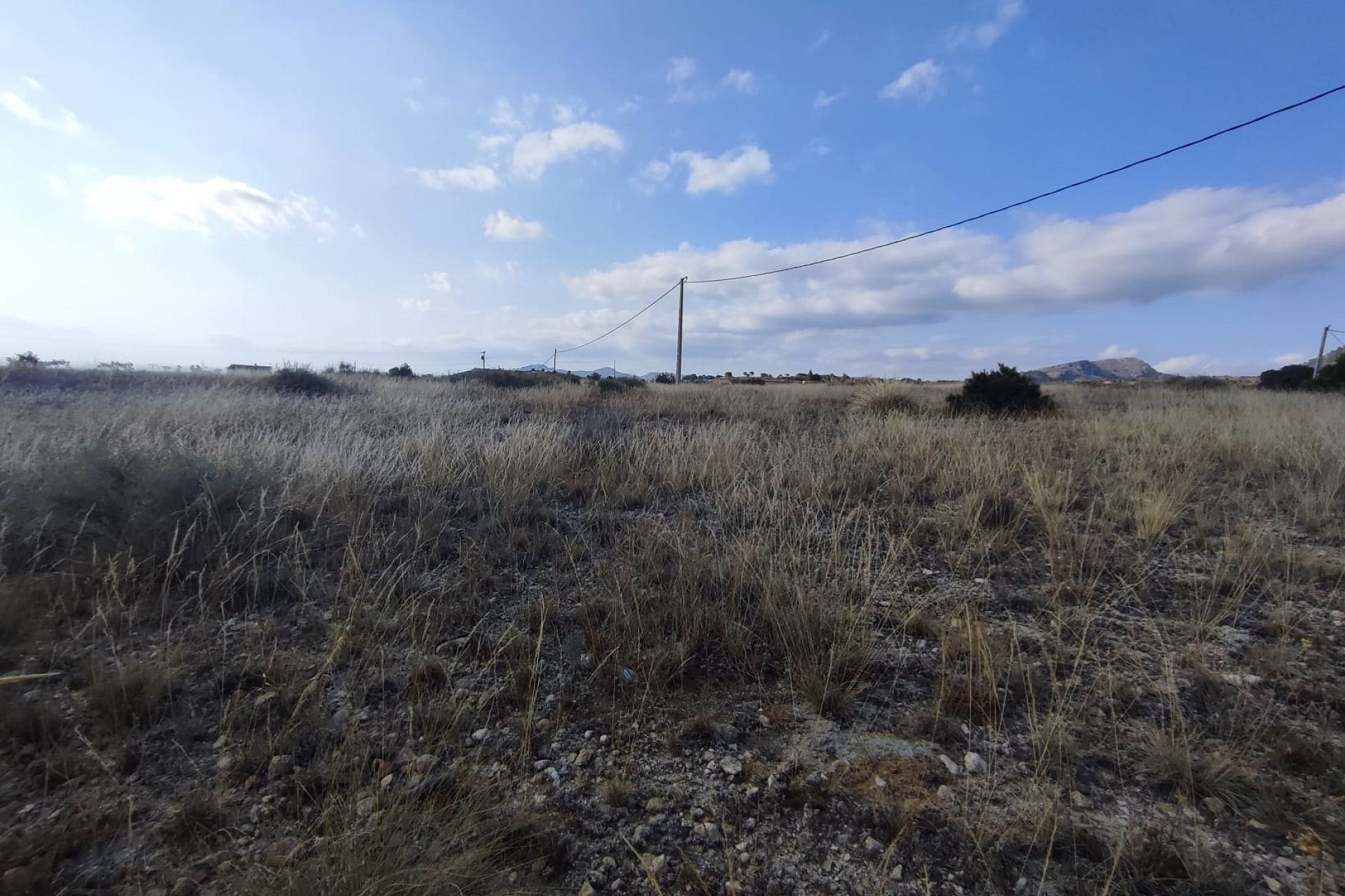 Sale - Plot Land -
SAX